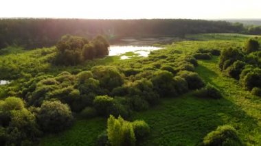 Orman gölü, şafak güneşinde, yaz gezisi. İHA görüntüleri..