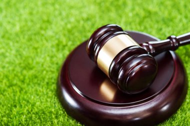 Tahta hakimler çekiç ile metal halka ve ses panosu, yapay çim, üst görüş, yeşil çimen, kopyalama alanı.