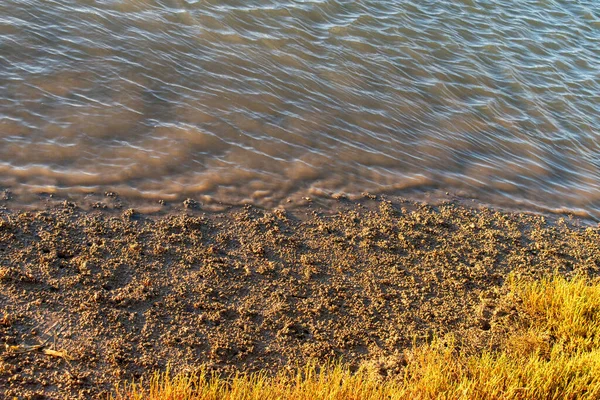 Agua Eleva Hacia Arena Húmeda Mientras Que Final Hay Hierba —  Fotos de Stock