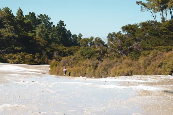 Waiotapu Wai Tapu 카티나 센터의 활발히 움직이는 지대이다 로토루아에서 남쪽으로 — 스톡 사진