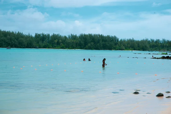 Vardagen Och Naturen Lever Tillsammans Moorea Franska Polynesien Överallt Finns — Stockfoto