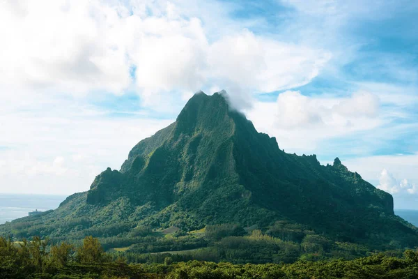 Günlük yaşam ve doğa Moorea 'da, Fransız Polinezyası' nda, her yerde yeşil dağlar ve mavi denizle çevrili cennet plajları var ve yerel halkın balıkçı ve çiftçi olarak yaşadığı basit bir ada hayatı var.. 