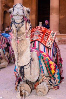 Petra büyük bir Saray Mezarı ve Ürdün 'ün başlıca ilgi odağı. Petra UNESCO miras listesine dahil edildi. Petra 'nın tarihi bölgesinde, antik Petra kentindeki Nabatean Tiyatrosu' nun yanında, Bedevi evleri bulunmaktadır..