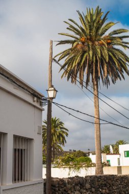 Lanzarote, Kanarya Adası 'ndaki iki ana kasabanın resimleri: Haria ve Teguise, ikisi de eski beyaz mimari ve basit yaşamla. Tipik yeşil pencereli ve kapılı beyaz evler.