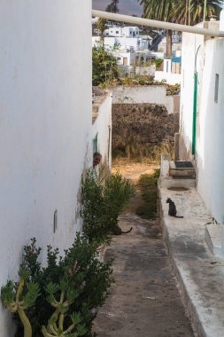 Lanzarote, Kanarya Adası 'ndaki iki ana kasabanın resimleri: Haria ve Teguise, ikisi de eski beyaz mimari ve basit yaşamla. Tipik yeşil pencereli ve kapılı beyaz evler.