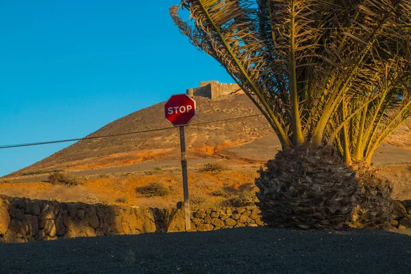 Scenic View Wine Growing Geria Island Lanzarote Vineyard Black Volcanic — Stock Photo, Image