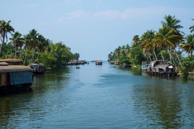 Güneşli bir günde Kerala 'nın durgun suyunun yanındaki küçük bir köyde küçük evler ve Allapuzza veya Alleppey' in pitoresk durgun sularında yüzen geleneksel yüzen yüzen yüzen yüzen tekneler görülüyor.