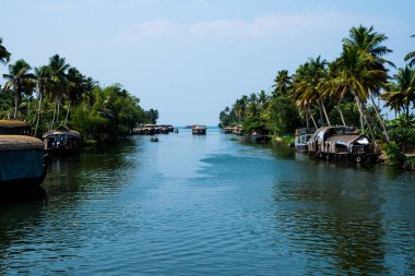 Güneşli bir günde Kerala 'nın durgun suyunun yanındaki küçük bir köyde küçük evler ve Allapuzza veya Alleppey' in pitoresk durgun sularında yüzen geleneksel yüzen yüzen yüzen yüzen tekneler görülüyor.