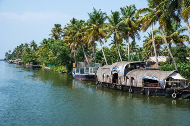 Güneşli bir günde Kerala 'nın durgun suyunun yanındaki küçük bir köyde küçük evler ve Allapuzza veya Alleppey' in pitoresk durgun sularında yüzen geleneksel yüzen yüzen yüzen yüzen tekneler görülüyor.