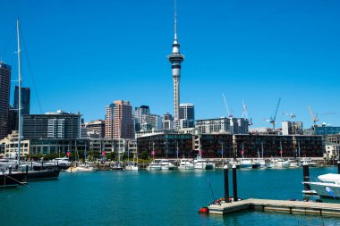 İnsanlar günlük yaşamlarını Auckland şehir merkezinde (Yeni Zelanda), bir yaz günü okyanusun yanında, ana caddelerde geçirirler. Şehir dükkanlar ve gökdelenlerle dolu. Modern bir şehir manzarası.. 