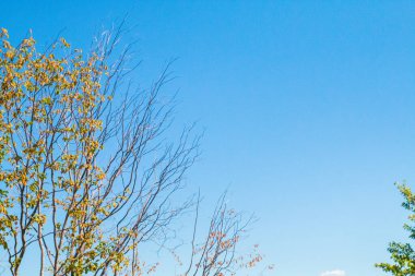 Kotor 'un etrafındaki tüm dağları ve doğayı görüntüle ve çerçevele. Kotor Körfezi, Karadağ 'ın güneybatısındaki Adriyatik Denizi' nin dolambaçlı körfezi. Kotor UNESCO 'nun bir parçası. 