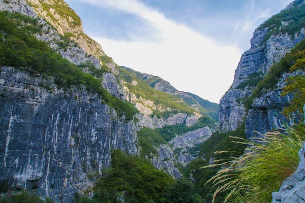 Lanscape Quadro Sobre Todas Montanhas Natureza Torno Kotor Baía Kotor — Fotografia de Stock