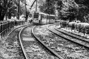 Auschwitz-Birkenau toplama kampı. Ölüm koğuşu. Yahudi imha kampı. Oswiecim 'deki Alman ölüm kampı. Polonya 'daki kamptan etrafı dikenli tellerle çevrili..