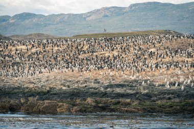 Burası şehir merkezinde dağlar, nehirler ve karla dolu. Ushuaia, Arjantin 'in Tierra del Fuego, Antrtida ve Islas del Atlntico Sur illerinin başkentidir..
