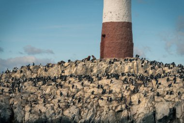 Burası şehir merkezinde dağlar, nehirler ve karla dolu. Ushuaia, Arjantin 'in Tierra del Fuego, Antrtida ve Islas del Atlntico Sur illerinin başkentidir..