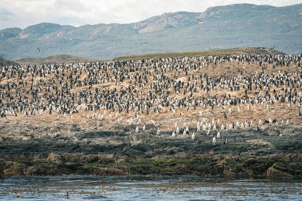 Burası şehir merkezinde dağlar, nehirler ve karla dolu. Ushuaia, Arjantin 'in Tierra del Fuego, Antrtida ve Islas del Atlntico Sur illerinin başkentidir..