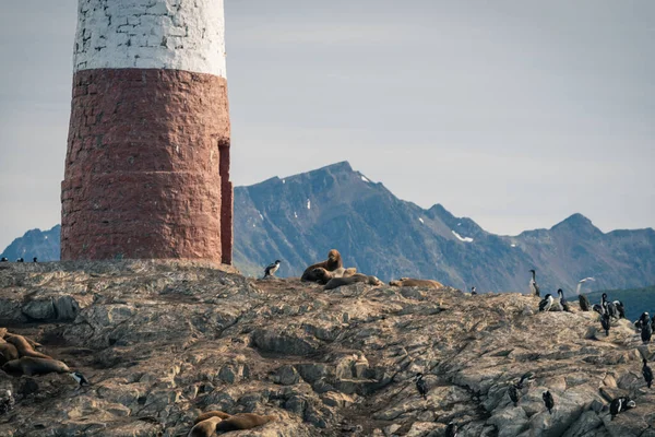 Este Lugar Está Lleno Montañas Ríos Nieve Alrededor Del Centro —  Fotos de Stock