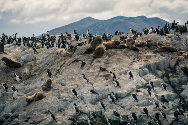 Este Lugar Está Lleno Montañas Ríos Nieve Alrededor Del Centro — Foto de Stock