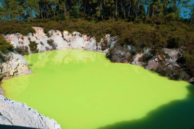 Waiotapu ya da Wai-O-Tapu, Okataina Volkan Merkezi 'nin güney ucunda aktif bir jeotermal bölgedir. Rotorua 'nın 27 kilometre güneyinde..