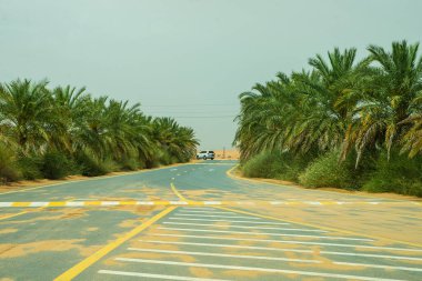 Dubai 'deki kızıl çöl manzarası, sarı kumul ve mavi gökyüzü, tamamen boş ve sessiz..