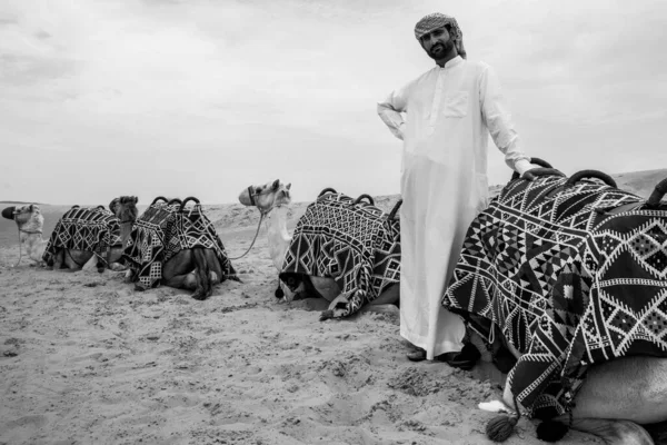 Krásný Beduín Arabský Muž Tráví Svůj Čas Relaxací Svými Velbloudy — Stock fotografie