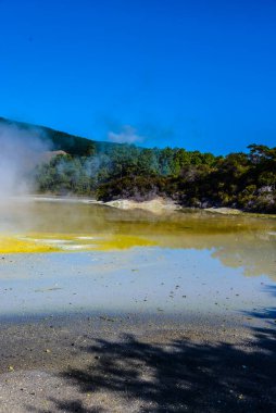 Waiotapu ya da Wai-O-Tapu, Okataina Volkan Merkezi 'nin güney ucunda aktif bir jeotermal bölgedir. Rotorua 'nın 27 kilometre güneyindedir. Rapor kalderasının kuzeyinde Yeni Zelanda 'nın Taupo Volkanik Bölgesi' nde..
