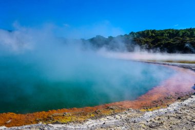 Waiotapu ya da Wai-O-Tapu, Okataina Volkan Merkezi 'nin güney ucunda aktif bir jeotermal bölgedir. Rotorua 'nın 27 kilometre güneyindedir. Rapor kalderasının kuzeyinde Yeni Zelanda 'nın Taupo Volkanik Bölgesi' nde..