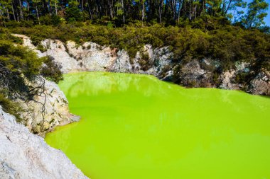 Waiotapu ya da Wai-O-Tapu, Okataina Volkan Merkezi 'nin güney ucunda aktif bir jeotermal bölgedir. Rotorua 'nın 27 kilometre güneyindedir. Rapor kalderasının kuzeyinde Yeni Zelanda 'nın Taupo Volkanik Bölgesi' nde..