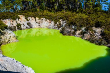 Waiotapu ya da Wai-O-Tapu, Okataina Volkan Merkezi 'nin güney ucunda aktif bir jeotermal bölgedir. Rotorua 'nın 27 kilometre güneyindedir. Rapor kalderasının kuzeyinde Yeni Zelanda 'nın Taupo Volkanik Bölgesi' nde..