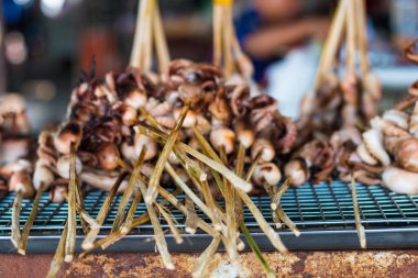 Özellikle Asya 'daki markette taze balık yiyeceği. Canlı mor renkte ızgara ahtapot..