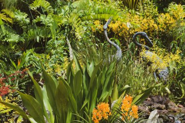 Singapur / Asya: 09 / 04 / 2020: Orkide ulusal bahçesinin ana bahçesi. Tropikal, yeşil bitkiler ve portakal çiçekleriyle dolu bir yer. Singapur