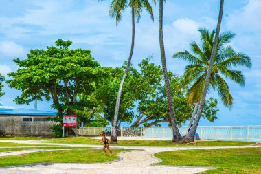 Fransız Polinezyası: 09 / 03 / 2018: Moorea sadece bazı köy ve tropikal manzaralı bir ada. Tekonoloji diye bir şey yok ve insanlar tamamen özgür. Her yerde ağaçlar ve yeşil çimenler.