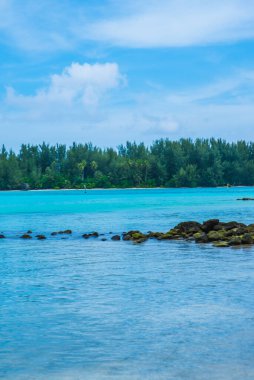 Moorea, Fransız Polinezyası: 09 / 03 / 2018: Moorea 'daki sahilin manzarası, Fransız Polinezyası, mavi deniz ve her yerde tropikal ağaçlar