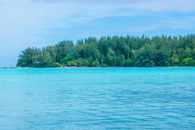 Moorea, Fransız Polinezyası: 09 / 03 / 2018: Moorea 'daki sahilin manzarası, Fransız Polinezyası, mavi deniz ve her yerde tropikal ağaçlar