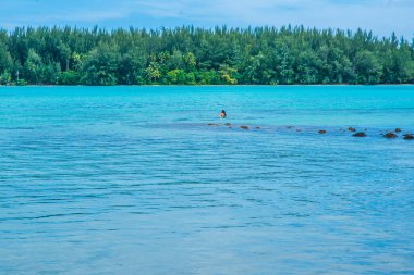 Moorea, Fransız Polinezyası: 09 / 03 / 2018: İnsanlar boş zamanlarını Fransız Polinezyası 'nın Moorea tropikal adasında mavi okyanusta yüzerek geçirdiler. Bir Cennet Adası.