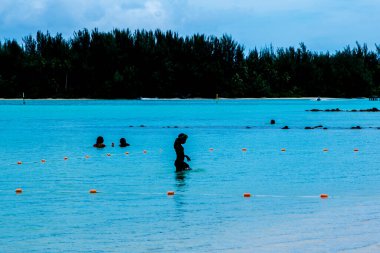 Moorea, Fransız Polinezyası: 09 / 03 / 2018: İnsanlar boş zamanlarını Fransız Polinezyası 'nın Moorea tropikal adasında mavi okyanusta yüzerek geçirdiler. Bir Cennet Adası.
