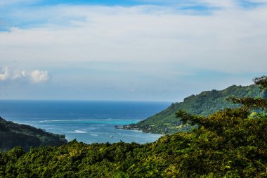 Moorea, Fransız Polinezyası: 09 / 03 / 2018: Tüm Moorea Adaları 'nın muhteşem manzarası, tropik bir cennet.