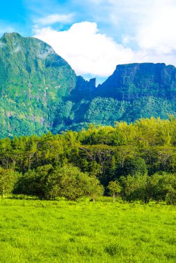 Moorea, Fransız Polinezyası: 09 / 03 / 2018: MooreaFrench Polinezya 'daki Yeşil Park: 09 / 03 / 2018: Dağların manzarası ve Moorea, Fransız Polinezyası' ndaki yeşil çimenler