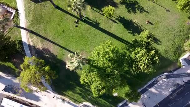 ポルトガルのリスボン市内中心部の空中写真 晴れた日リスボン市内のマーキスポンバル広場の空中公園のパノラマ ポルトガル ヨーロッパ — ストック動画