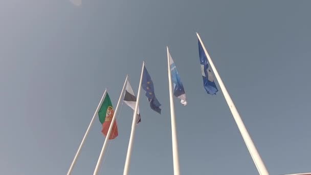 Banderas Diferentes Países Unidas Contra Cielo Azul Ondeando Viento — Vídeo de stock