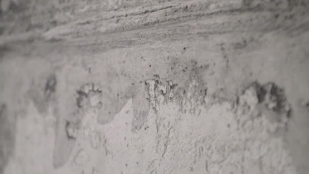 Texture of concrete close up. slow motion. Concrete gray background closeup. — Stock Footage Texture of concrete close up. slow motion. Concrete gray background closeup. Royalty Free Stock Footage