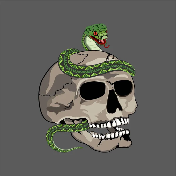 Crâne Humain Avec Vecteur Illustration Serpent — Image vectorielle