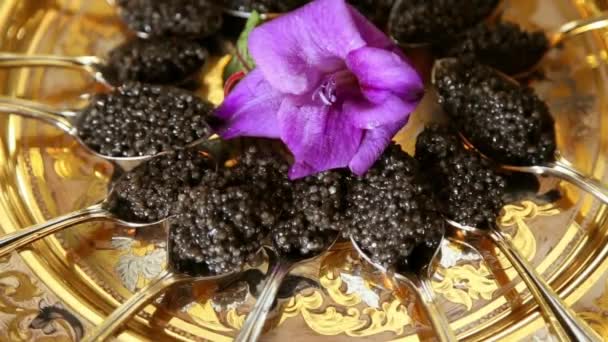 Black Caviar Silver Spoons Lilac Gladiolus Slow Motion Close — Stock Video