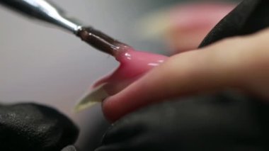 Profesyonel manikür. Çivi uzantısı. Bir tırnağa pembe oje sürmeye yakın çekim. Modern bir güzellik salonunda uzun yapay jel tırnaklar yapma prosedürü..