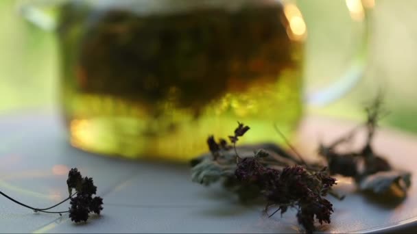 déplacer la mise au point d'un brin sec d'herbes médicinales à une théière en verre avec des herbes médicinales brassées 