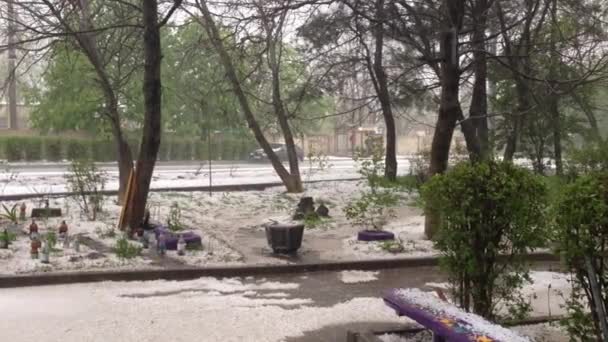 Stavropol Rusia Junio 2020 Fuerte Granizo Verano — Vídeo de stock