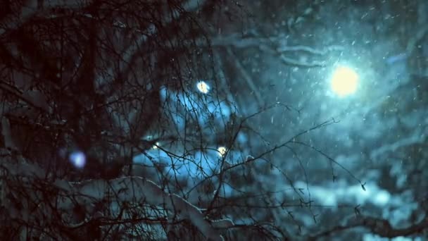 Night Snowfall Background Trees Street Lamp — Stock Video