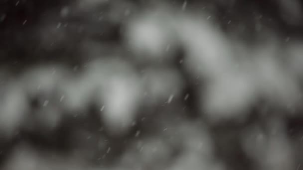 Zware Sneeuwval Poten Van Dennenbomen Een Sombere Winterdag Defocus — Stockvideo