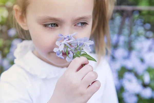 Menina criança cheirando flores, close-up — Fotografia de Stock