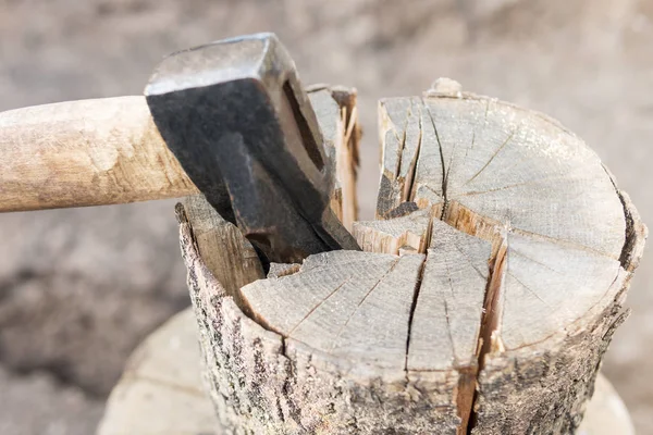 Ax protruding from a log — Stock Photo, Image